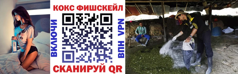 купить закладку  Сухой Лог  COCAIN Fish Scale 